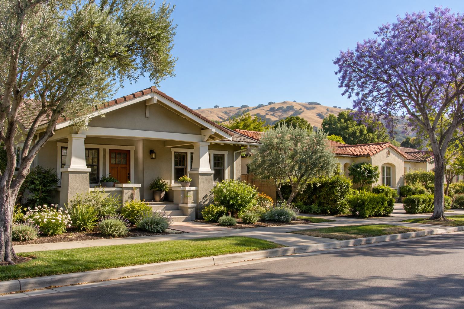 A South Bay stucco home with palm and olive trees