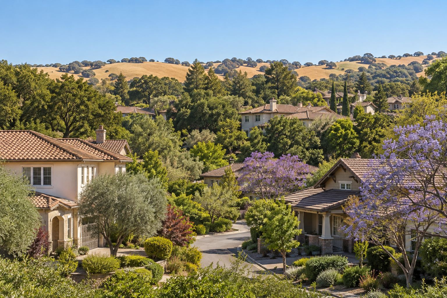 Los Gatos and Campbell